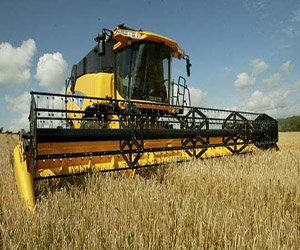 Заготовки зерновых культур в Ивантеевке