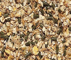 Заготовка плющего зерна в Ивантевке