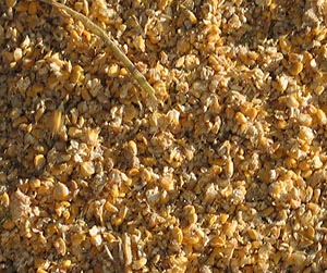 зерно в Пушкино