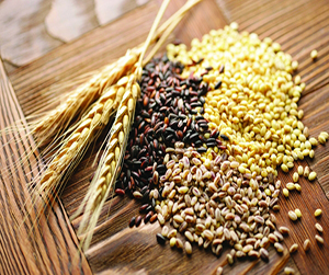 зерно в Ивантеевке