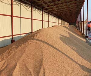 Хранение зерна в Мытищах.
