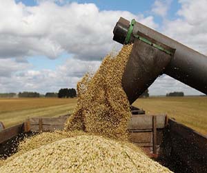 зерно в Мытищах