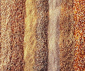 зерно в Мытищах