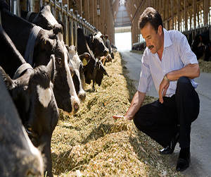 зерно в Мытищах