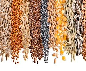 зерно в Мытищах