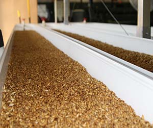 зерно в Мытищах