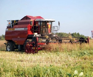 Сборо зерна в Мытищах