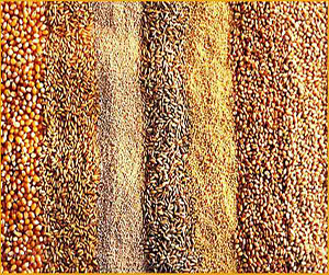 зерно в Пушкино