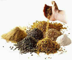 зерно в Пушкино