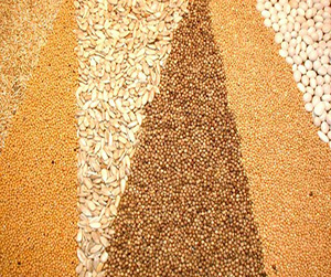 зерно в Пушкино