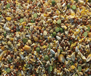 зерно в Пушкино