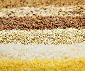 зерно в Пушкино