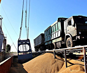 Транспортировака зерновых культур в Пушкино