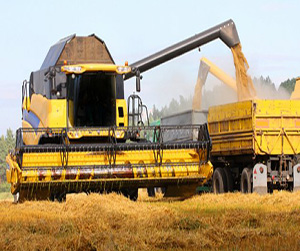 зерно в Пушкино