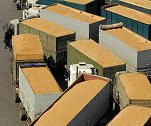 фасовка зерна в Пушкино