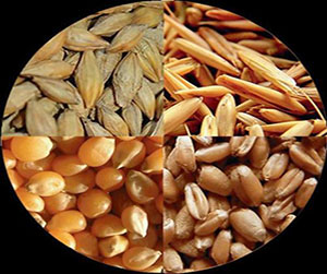 зерно в Щелково