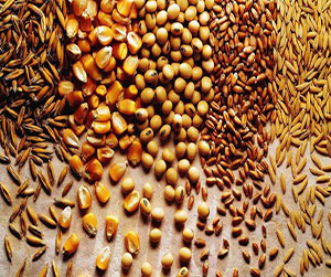 зерно в Щелково