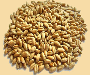 зерно в Щелково