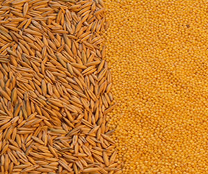 зерно в Щелково