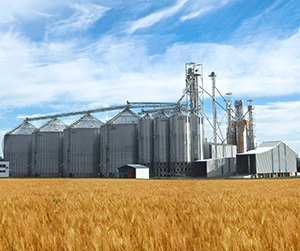 зерно в Щелково