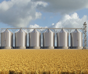 Требования в хранению зерна в Щелково