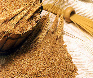 зерно в Щелково