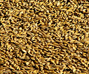 зерно в Щелково